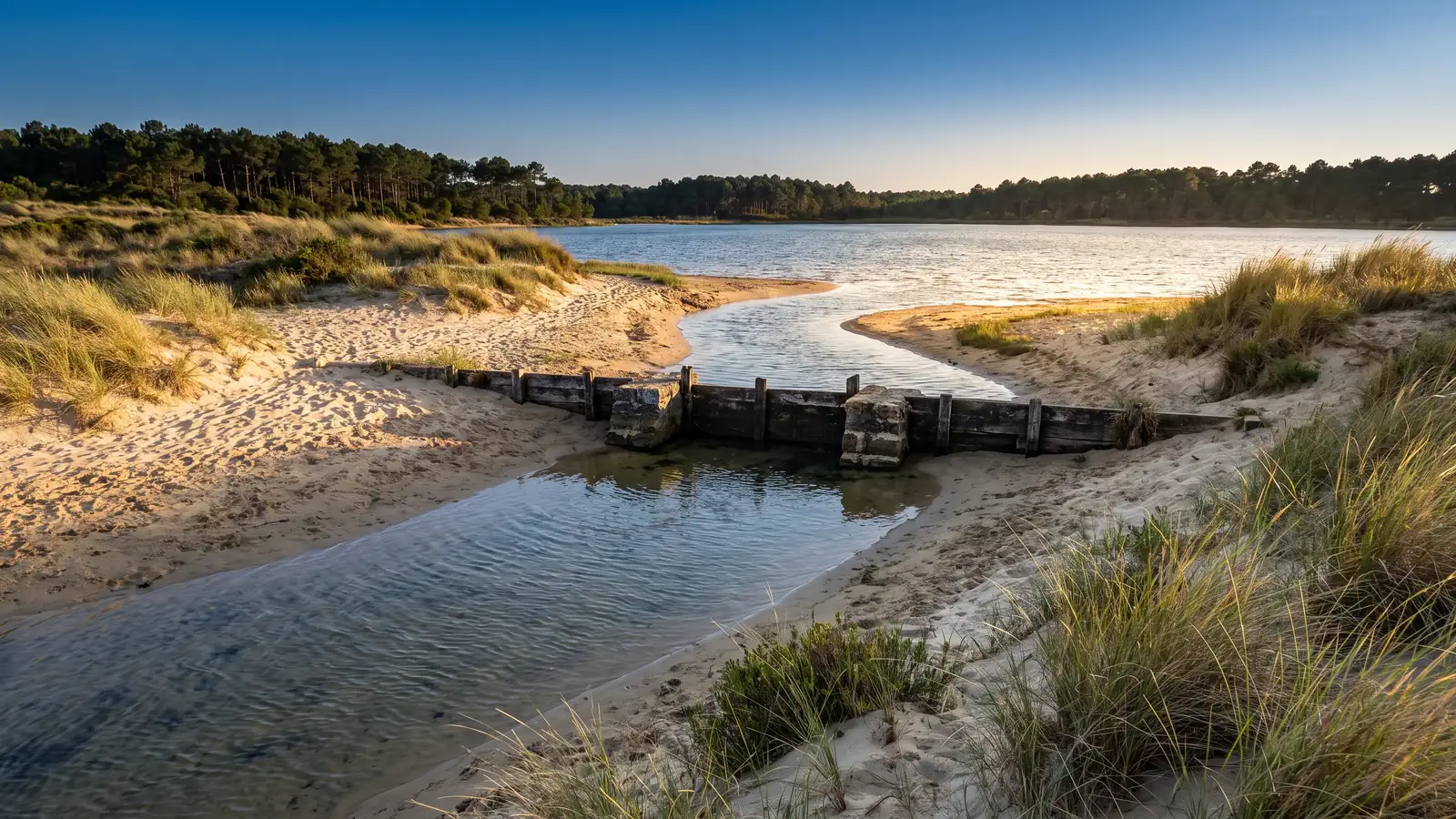 Un canal de aguas cristalinas que une el océano con un tranquilo lago costero, una pequeña presa de madera y piedra, y orillas de arena y espartina