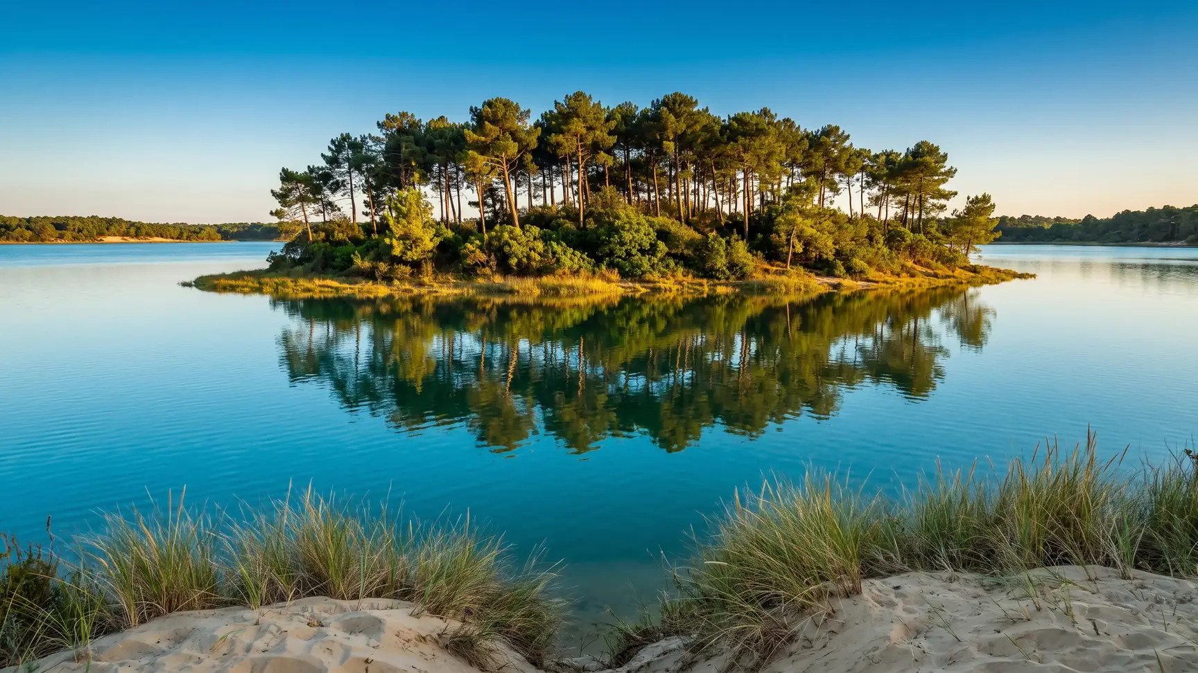 La isla salvaje cubierta de pinos en medio del lago marino, rodeada de tranquilas aguas turquesas, con una orilla de arena en primer plano