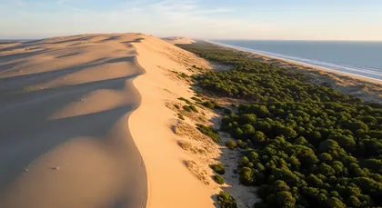 Private chauffeur from Bordeaux to the Dune du Pilat, Europe's tallest dune
